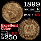 1899 Indian Cent 1c Grades Choice Unc RD (fc)