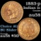 1883 Indian Cent 1c Grades Choice AU/BU Slider