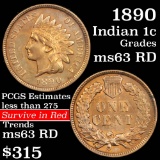 1890 Indian Cent 1c Grades Select Unc RD