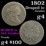 1802 Draped Bust Large Cent 1c Grades g, good