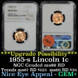 NGC 1955-s Lincoln Cent 1c Graded ms66 RD by NGC