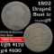 1802 Draped Bust Large Cent 1c Grades g+