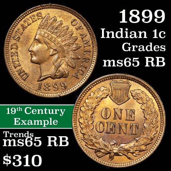 1899 Indian Cent 1c Grades GEM Unc RB (fc)