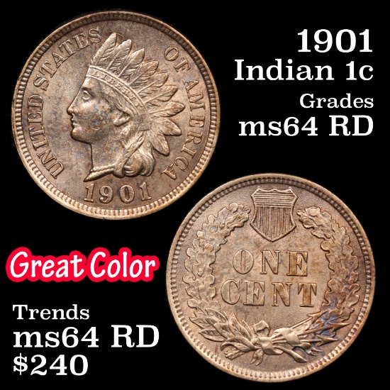 1901 Indian Cent 1c Grades Choice Unc RD
