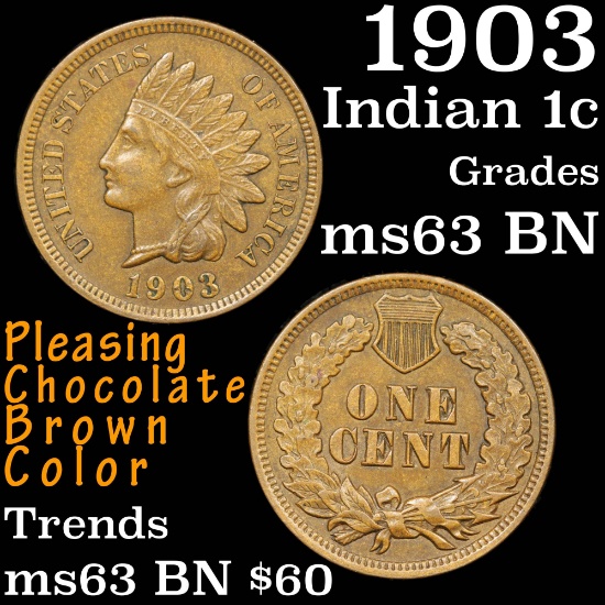 1903 Indian Cent 1c Grades Select Unc BN