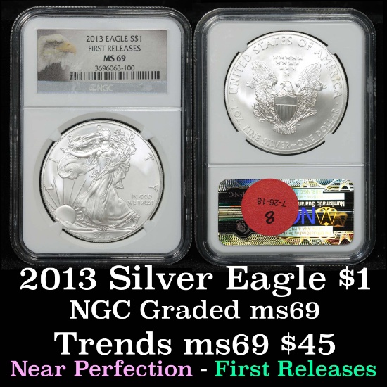 NGC 2013 Silver Eagle Dollar $1 Graded ms69 By NGC