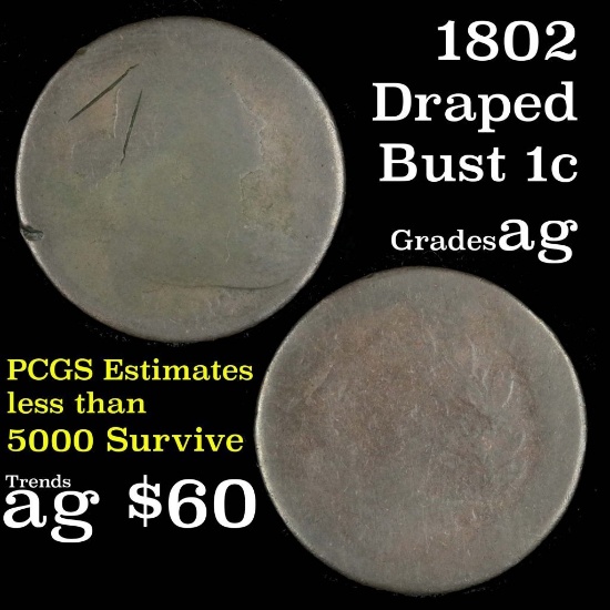 1802 Draped Bust Large Cent 1c Grades ag, almost good