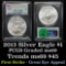 PCGS 2013 Silver Eagle Dollar $1 Graded ms69 By PCGS