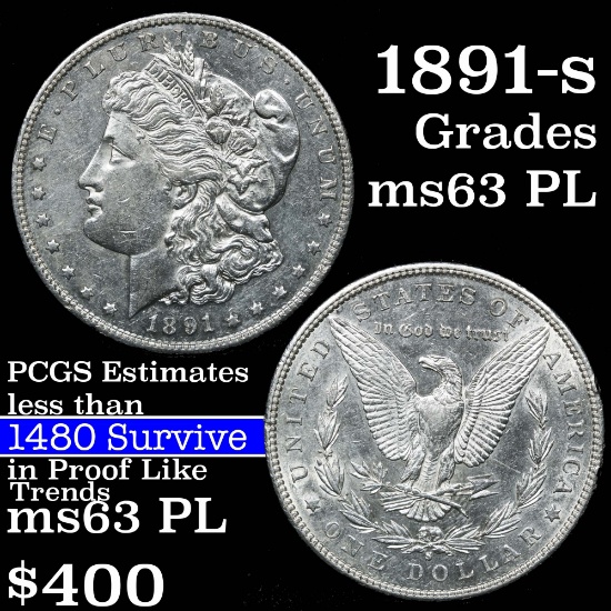 1891-s Morgan Dollar $1 Grades Select Unc PL