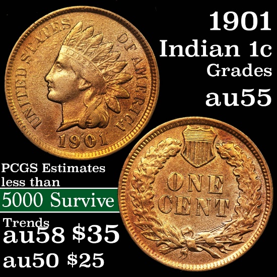 1901 Indian Cent 1c Grades Choice AU