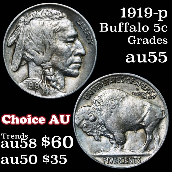 1919-p Buffalo Nickel 5c Grades Choice AU