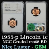 NGC 1955-p Lincoln Cent 1c Graded ms65 rd By NGC