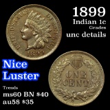 1899 Indian Cent 1c Grades Unc Details