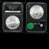 2010 Silver Eagle Dollar $1 By PCS