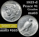 1923-d Peace Dollar $1 Grades Select Unc