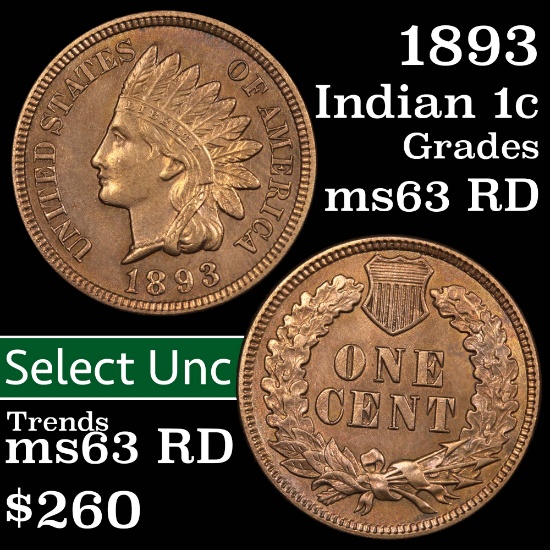 1893 Indian Cent 1c Grades Select Unc RD (fc)