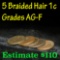 5 pieces different dates Braided Hair Large Cent 1c Grades ag-f