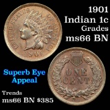 1901 Indian Cent 1c Grades GEM+ Unc BN (fc)