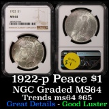 NGC 1922-p Peace Dollar $1 Graded ms64 by NGC