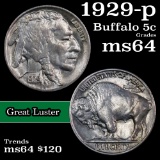 1929-p Buffalo Nickel 5c Grades Choice Unc