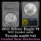 NGC 2011 Silver Eagle Dollar $1 Graded ms69 by NGC