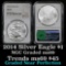 NGC 2014 Silver Eagle Dollar $1 Graded ms69 by NGC