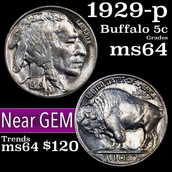 1929-p Buffalo Nickel 5c Grades Choice Unc
