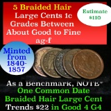 5 Braided Hair Large Cents 1c Grades ag-f