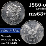 1891-s Morgan Dollar $1 Grades Choice Unc (fc)