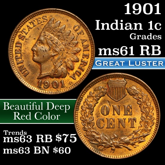 1901 Indian Cent 1c Grades Unc+ RB