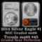 2014 Silver Eagle Dollar $1 Graded ms69 by NGC