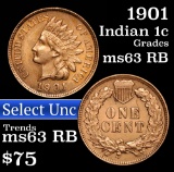 1901 Indian Cent 1c Grades Select Unc RB