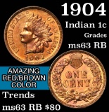 1904 Indian Cent 1c Grades Select Unc RB