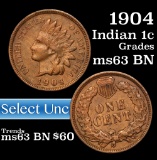 1904 Indian Cent 1c Grades Select Unc BN