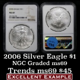 2006 Silver Eagle Dollar $1 Graded ms69 by NGC