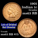 1901 Indian Cent 1c Grades Select Unc RB