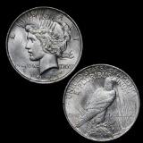 1922-p Peace Dollar $1 Grades Select Unc