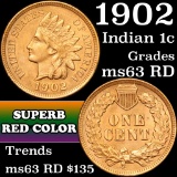 1902 Indian Cent 1c Grades Select Unc RD