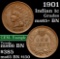 1901 Indian Cent 1c Grades GEM+ Unc BN (fc)