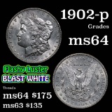 1902-p Morgan Dollar $1 Grades Choice Unc