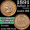 1891 Indian Cent 1c Grades Select Unc RB