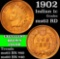 1902 Indian Cent 1c Grades Select Unc RD