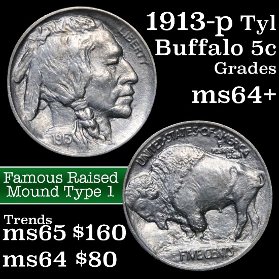1913-p TY I Buffalo Nickel 5c Grades Choice+ Unc