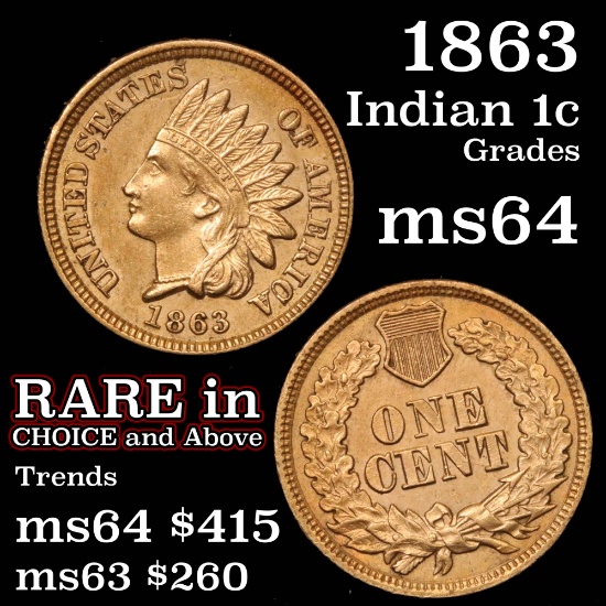 1863 Indian Cent 1c Grades Choice Unc (fc)
