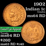 1902 Indian Cent 1c Grades Choice Unc RD (fc)
