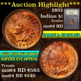 ***Auction Highlight*** 1891 Indian Cent 1c Graded Choice Unc RD by USCG (fc)