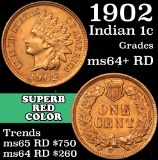 1902 Indian Cent 1c Grades Choice+ Unc RD (fc)