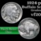 1924-p Buffalo Nickel 5c Grades vf, very fine