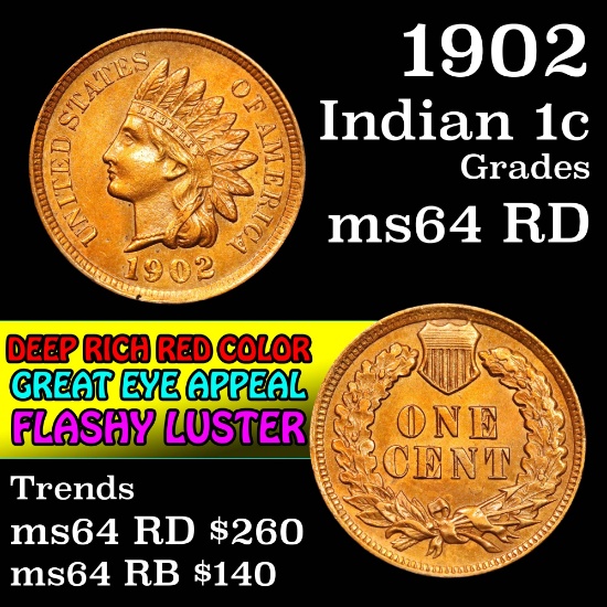 1902 Indian Cent 1c Grades Choice Unc RD (fc)