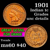 1901 Indian Cent 1c Grades Unc Details